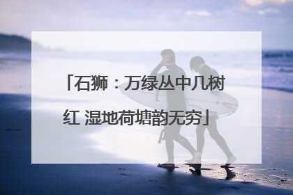 石狮：万绿丛中几树红 湿地荷塘韵无穷
