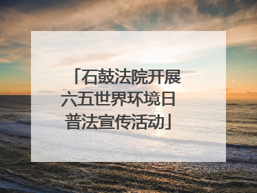 石鼓法院开展六五世界环境日普法宣传活动