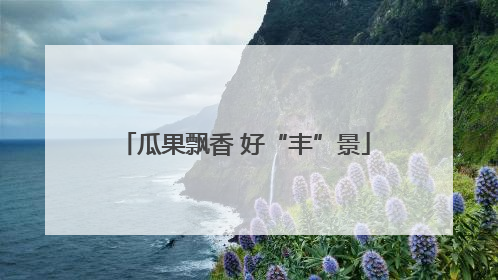 瓜果飘香 好“丰”景