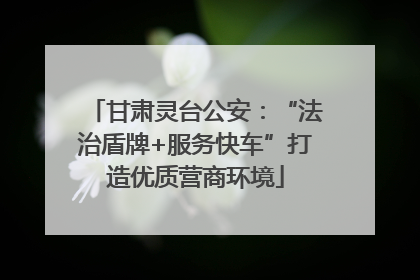 甘肃灵台公安：“法治盾牌+服务快车”打造优质营商环境