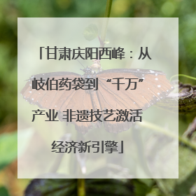 甘肃庆阳西峰：从岐伯药袋到“千万”产业 非遗技艺激活经济新引擎