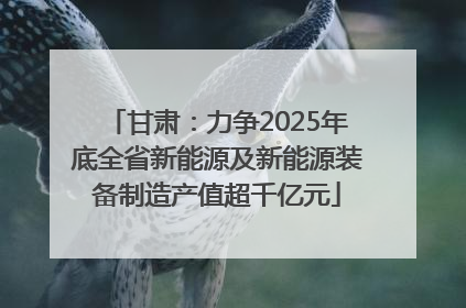 甘肃：力争2025年底全省新能源及新能源装备制造产值超千亿元