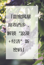 甜蜜风暴席卷西乡，解锁“浪漫+经济”新密码