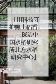 用科技守护黑土稻香——探访中国水稻研究所北方水稻研究中心