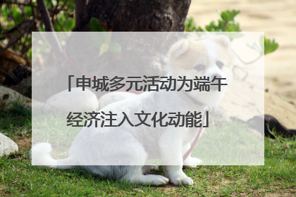 申城多元活动为端午经济注入文化动能