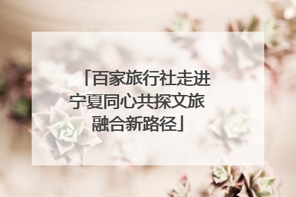 百家旅行社走进宁夏同心共探文旅融合新路径