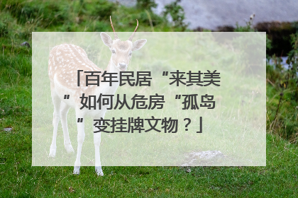 百年民居“来其美”如何从危房“孤岛”变挂牌文物？