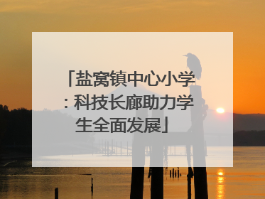 盐窝镇中心小学：科技长廊助力学生全面发展