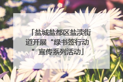 盐城盐都区盐渎街道开展“绿书签行动”宣传系列活动