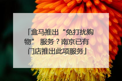 盒马推出“免打扰购物” 服务？南京已有门店推出此项服务
