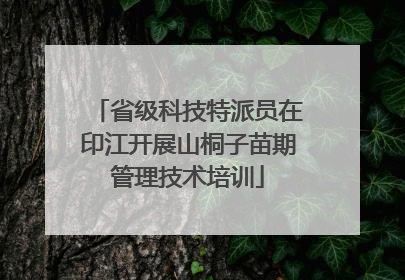 省级科技特派员在印江开展山桐子苗期管理技术培训