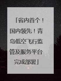 省内首个！国内领先！青岛低空飞行监管及服务平台完成部署