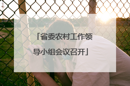 省委农村工作领导小组会议召开