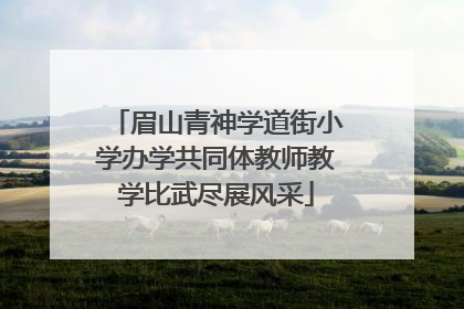 眉山青神学道街小学办学共同体教师教学比武尽展风采