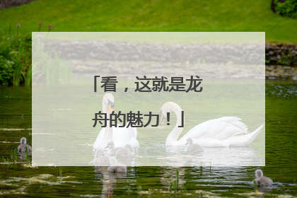 看，这就是龙舟的魅力！