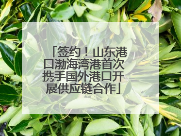 签约！山东港口渤海湾港首次携手国外港口开展供应链合作