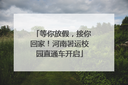 等你放假，接你回家！河南暑运校园直通车开启
