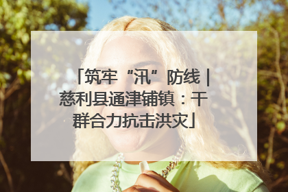筑牢“汛”防线｜慈利县通津铺镇：干群合力抗击洪灾