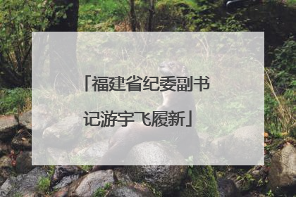 福建省纪委副书记游宇飞履新