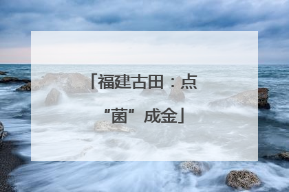 福建古田：点“菌”成金