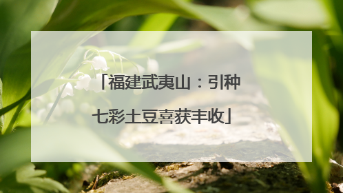 福建武夷山：引种七彩土豆喜获丰收