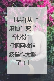 秸秆从“麻烦”变“香饽饽” 打捆回收这波操作太赚了！