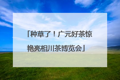 种草了！广元好茶惊艳亮相川茶博览会
