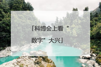 科博会上看“数字”大兴