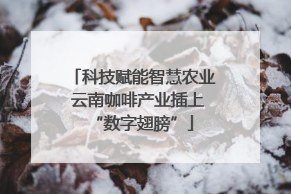 科技赋能智慧农业 云南咖啡产业插上“数字翅膀”