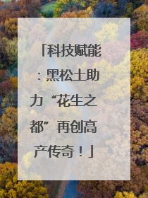 科技赋能：黑松土助力“花生之都”再创高产传奇！