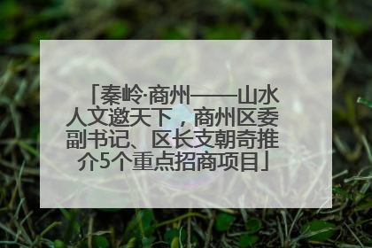 秦岭·商州——山水人文邀天下，商州区委副书记、区长支朝奇推介5个重点招商项目