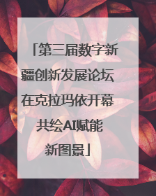 第三届数字新疆创新发展论坛在克拉玛依开幕 共绘AI赋能新图景