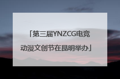 第三届YNZCG电竞动漫文创节在昆明举办