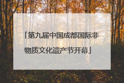第九届中国成都国际非物质文化遗产节开幕