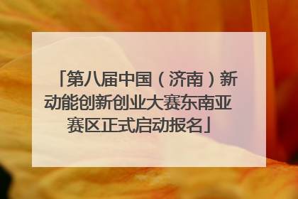 第八届中国（济南）新动能创新创业大赛东南亚赛区正式启动报名