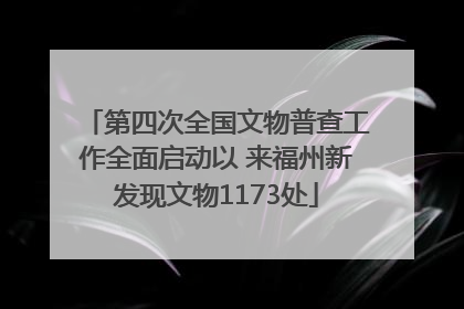 第四次全国文物普查工作全面启动以 来福州新发现文物1173处