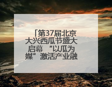 第37届北京大兴西瓜节盛大启幕 “以瓜为媒”激活产业融合发展新动能