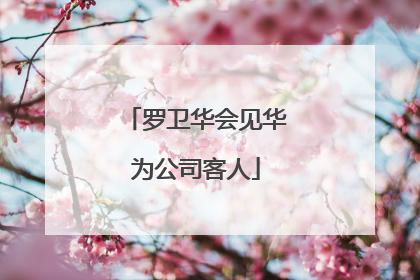 罗卫华会见华为公司客人