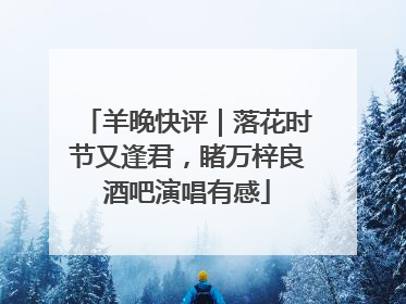 羊晚快评｜落花时节又逢君，睹万梓良酒吧演唱有感