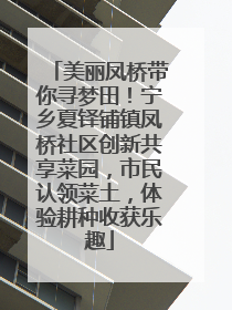 美丽凤桥带你寻梦田！宁乡夏铎铺镇凤桥社区创新共享菜园，市民认领菜土，体验耕种收获乐趣