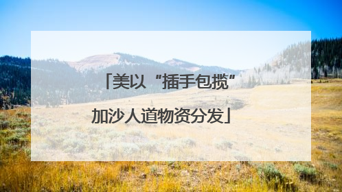 美以“插手包揽”加沙人道物资分发