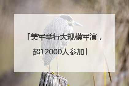 美军举行大规模军演，超12000人参加
