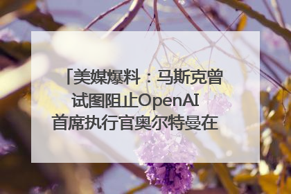 美媒爆料：马斯克曾试图阻止OpenAI首席执行官奥尔特曼在中东的AI交易