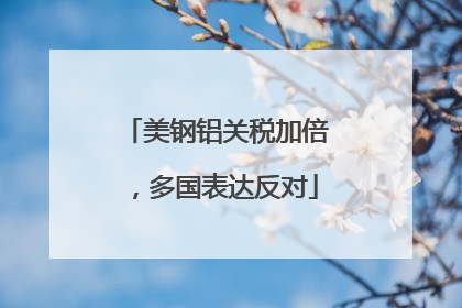 美钢铝关税加倍，多国表达反对