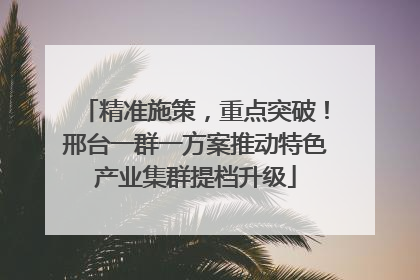 精准施策，重点突破！邢台一群一方案推动特色产业集群提档升级
