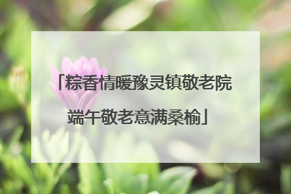 粽香情暖豫灵镇敬老院 端午敬老意满桑榆