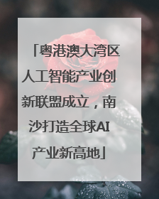 粤港澳大湾区人工智能产业创新联盟成立，南沙打造全球AI产业新高地