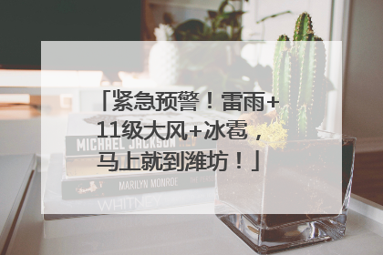 紧急预警！雷雨+11级大风+冰雹，马上就到潍坊！