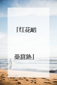 红花峪 桑葚熟
