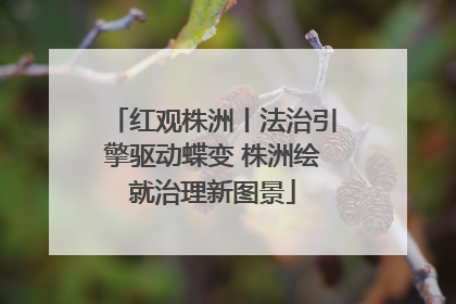 红观株洲丨法治引擎驱动蝶变 株洲绘就治理新图景